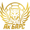 Ak Bars
